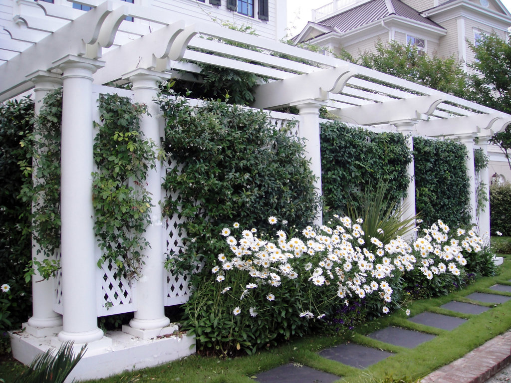 Pergola at Front Entrance of Chadsworth Cottage